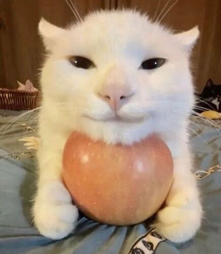 19c5bb0a43db282db6521e692b9c5932