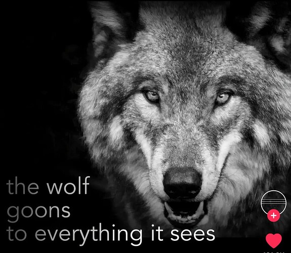 Screenshot_20250407-165723.TikTok