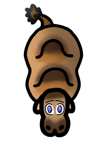 Camel 1